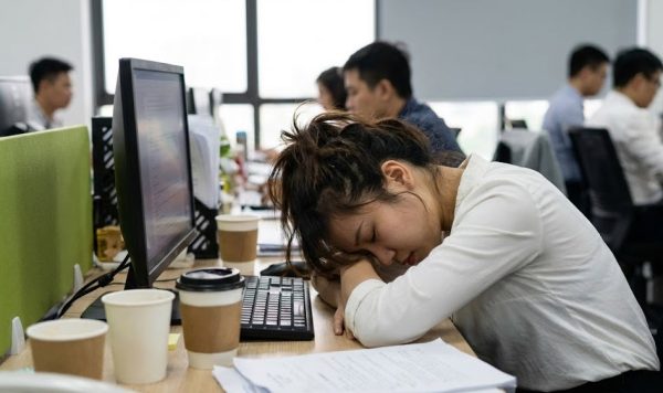 Giải pháp khí tươi cho phòng làm việc (2)